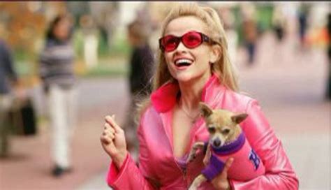 legally blonde dailymotion|legally blonde 123movies.